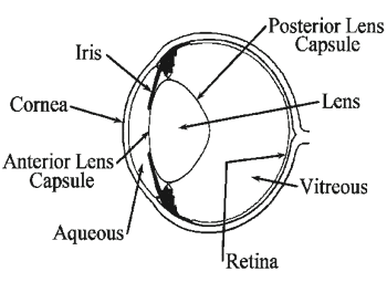 eye_diagram